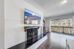 TV & Fireplace